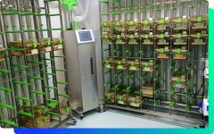 动物模型平台的图片