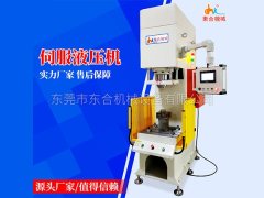 伺服液压机的图片