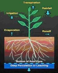 Eco-Watch生态网络监测系统的图片