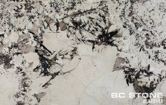 White Patagonia 潘多拉的图片