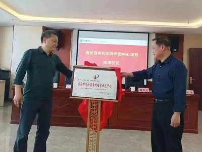 重钙第一强：力争中国或省级专利奖，在创新的道路上脱颖而出！