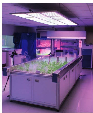 海博特高通量植物表型平台的图片