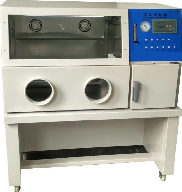 厌氧培养箱YQX-II混合气体配比的图片