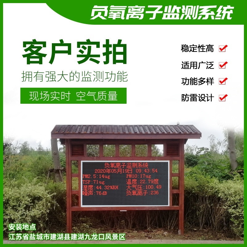 大气负氧离子监测仪的图片