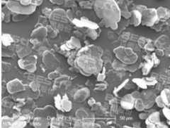 片状氮化硼的图片