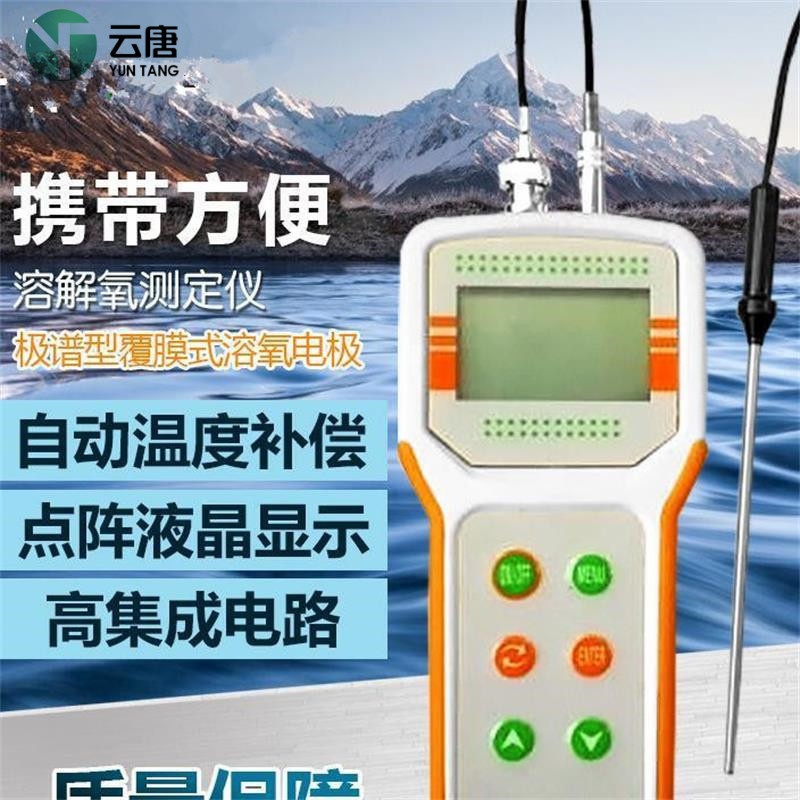 便携式智能溶解氧分析测定仪的图片