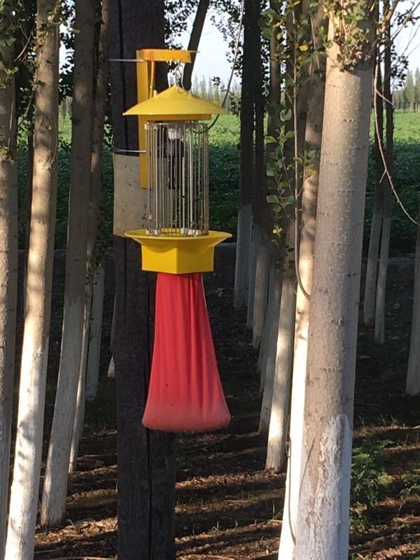 频振立杆式太阳能杀虫灯的图片