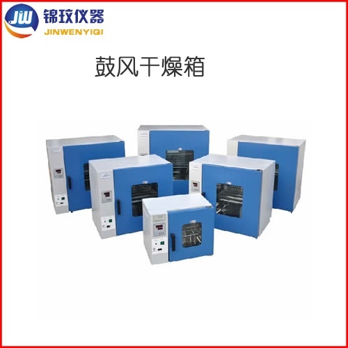 锦玟数显电热鼓风干燥箱DHG-9123A的图片