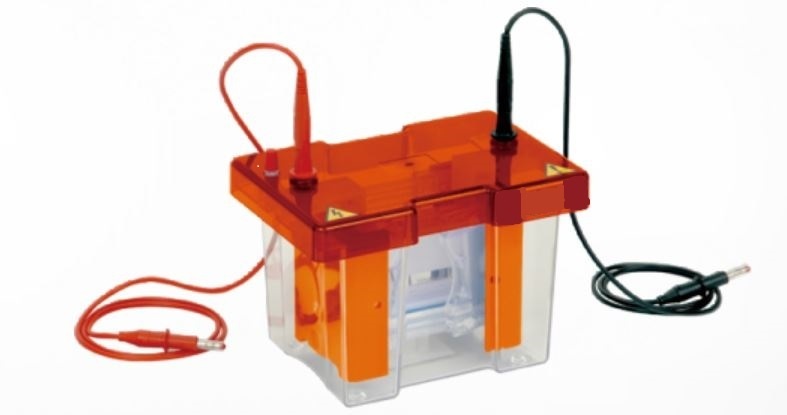 小型垂直电泳系统的图片