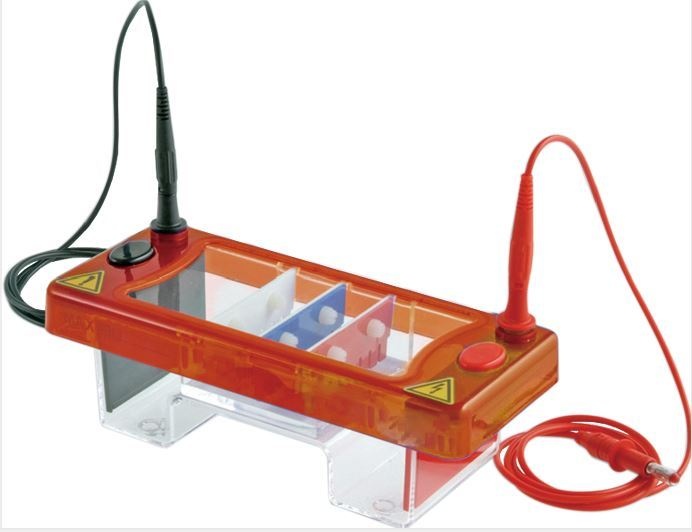小型水平电泳系统的图片