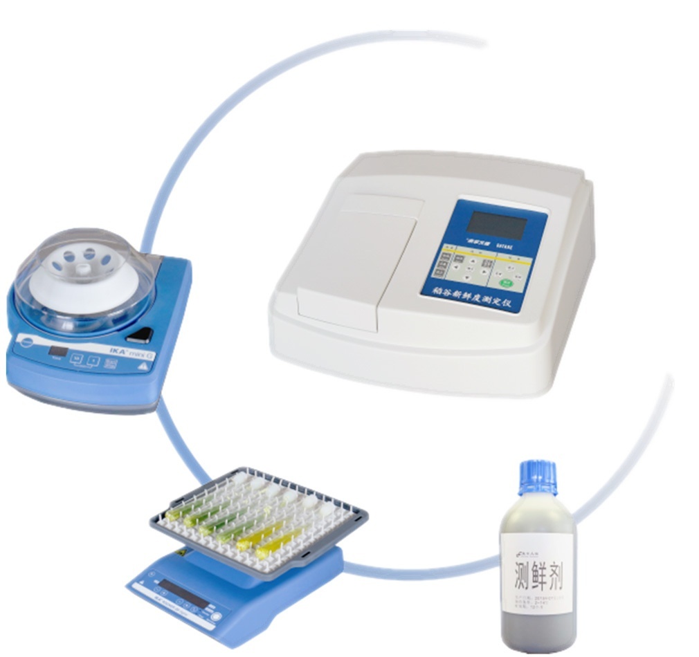 东孚久恒稻谷新鲜度JXCD10的图片