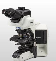 BX53(LED) 显微镜系统的图片