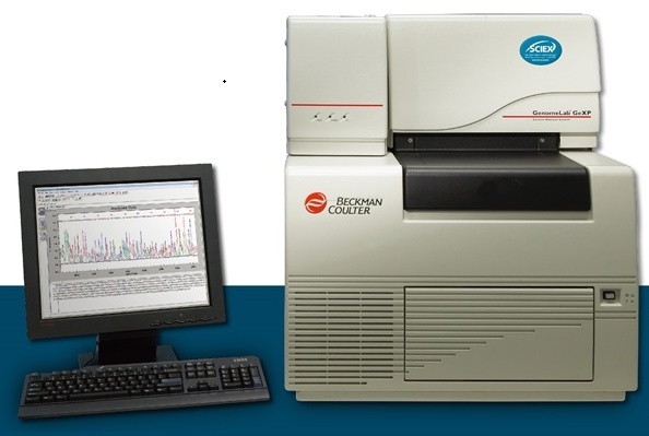 美国Sciex遗传分析系统GenomeLab GeXP的图片