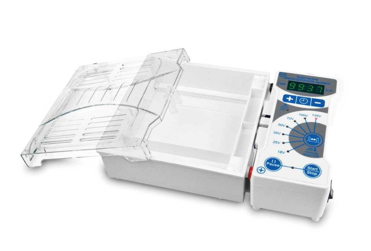 水平凝胶电泳仪（MINI）的图片