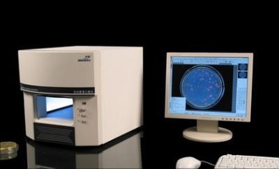 迅数V3自动菌落计数仪的图片