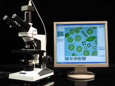 迅数Algacount C100藻类计数仪的图片