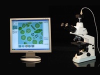 迅数Z100浮游动物计数仪的图片