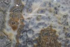 景观缟玛瑙的图片