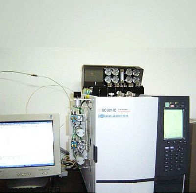 GC-8801SH型氦离子化检测器气相色谱仪的图片