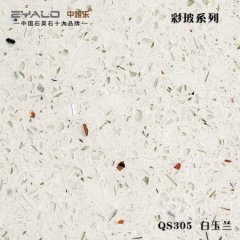 305 白玉兰的图片