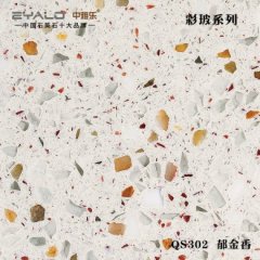 302 郁金香的图片