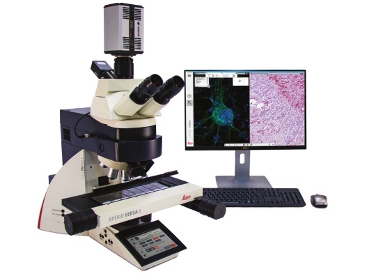 徕卡Aperio VERSA多功能组织细胞解析仪的图片