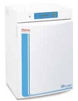 310系列直热式CO2培养箱的图片