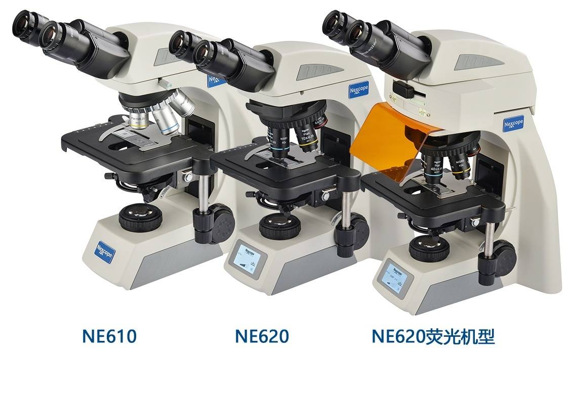 GREEN系列生物显微镜NE610、NE620的图片