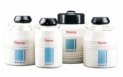 Thermo Scientific™ Bio-cane™系列液氮罐的图片
