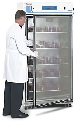 大容量即取式培养箱CO2 3951的图片