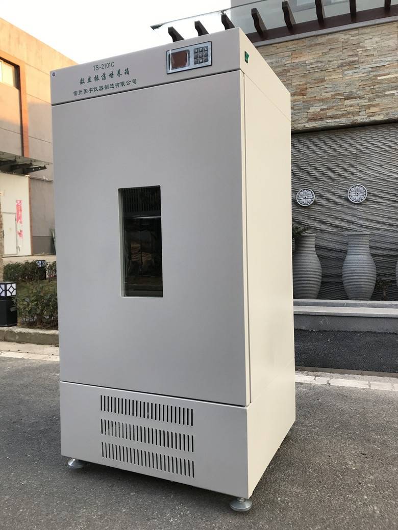 数显振荡培养箱TS-2101C的图片
