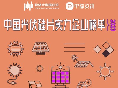 2023中国光伏硅片实力企业榜单