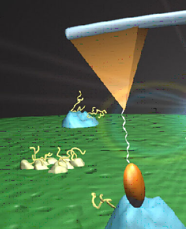 安捷伦分子识别成像扫描探针显微镜的图片