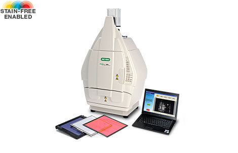 Bio-Rad ChemiDoc XRS+化学发光成像系统的图片