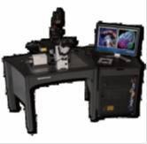 高分辨率活细胞成像系统DeltaVision的图片