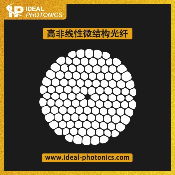 高非线性微结构光纤的图片