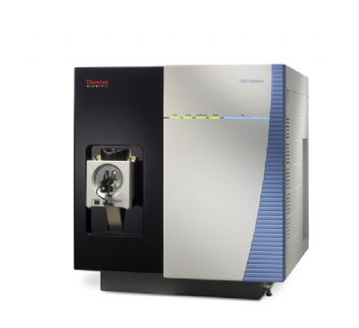 赛默飞TSQ Endura三重四极杆质谱仪的图片