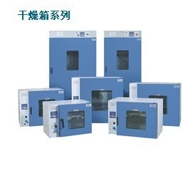 鼓风干燥箱（9003系列）的图片