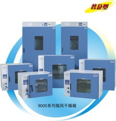 鼓风干燥箱-9000系列的图片
