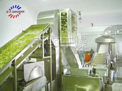 DWC系列脱水蔬菜带式干燥机的图片