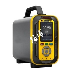 LB-MT6X泵吸手提式六合一气体分析仪的图片