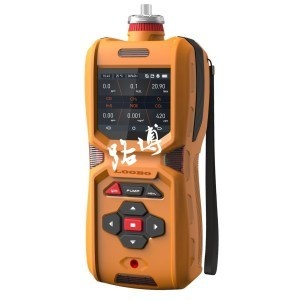 LB-MS6X泵吸六合一多气体检测仪的图片