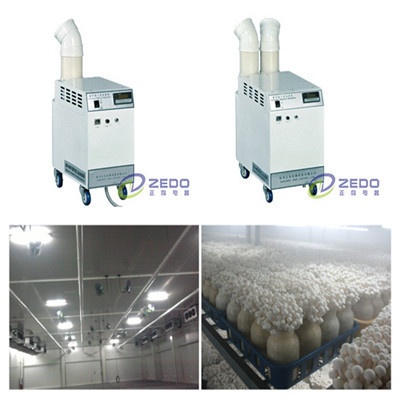 蘑菇房加湿器的图片