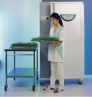 德国MMM人工气候箱/植物生长箱的图片