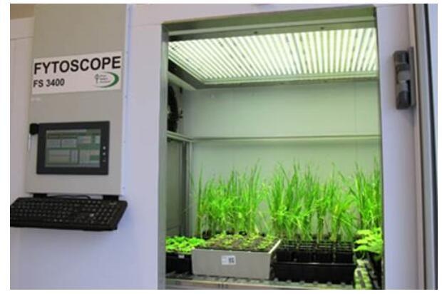 FytoScope FS-SI大型植物生长室的图片