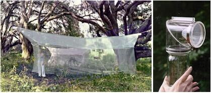 3012型标准6米马氏网的图片