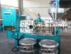 新型榨油机的图片