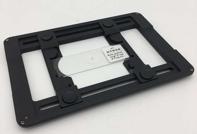 KOSTER显微镜通用样品框（玻片/培养皿）的图片