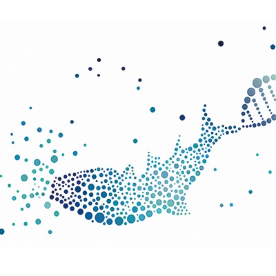INTAVIS FishGenePro实验鱼类管理系统软件的图片