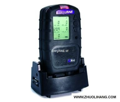 五合一气体检测仪PGM-3000的图片